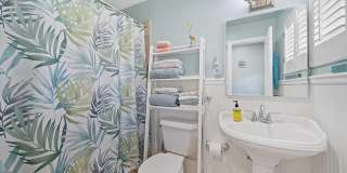 Dolphin Beach Gallery 19