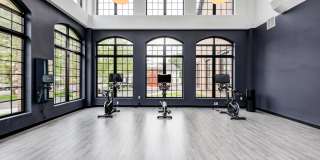 Axis 201 Axis 201 Gallery 7