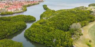 900 COVE CAY DRIVE Gallery 98