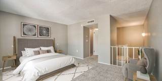 Buena Vista Gallery 26