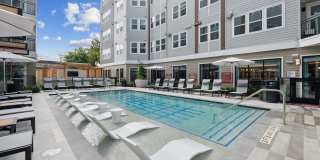 The Albright Gallery 1