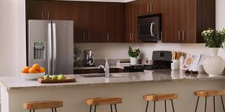 The Metropolitan at 40 Park Gallery 18