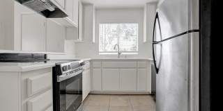 34040 Selva #127 Gallery 6
