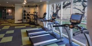 Mariner Grove Gallery 12