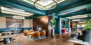 The Ivy Park Place Gallery 34