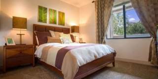 Canyon Crossroads Gallery 6