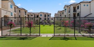 Solara Vista Gallery 51