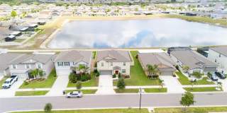 9831 LEMON DROP Loop Gallery 5