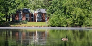 The Shores on Sweetwater Gallery 22