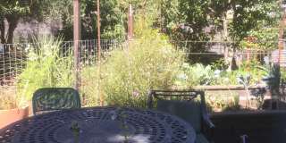 1525 Ada Street Gallery 8