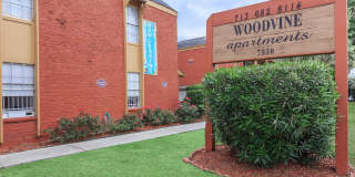 Woodvine Gallery 13