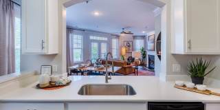 Haven at Birkdale Village Gallery 4