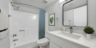 Newport Apartments Gallery 13