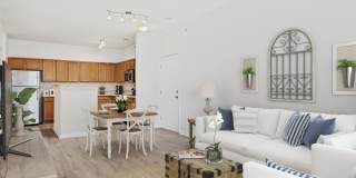 Greystone at Widewaters Gallery 60