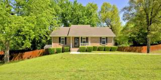 Sweet 3/2 with full basement and NO backyard Neighbors. Hurry Sweet 3/2 with full basement and NO backyard Neighbors. Hurry Gallery 1