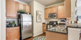 Brewster Commons at River Chase Gallery 5