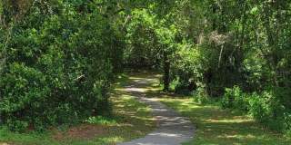 691 ERROL PARKWAY Gallery 36