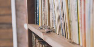 VerraWest Gallery 78