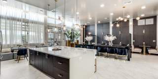 Remi West Dallas Remi West Dallas Gallery 14