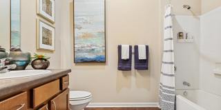 St. James at Goose Creek Apartments Gallery 7