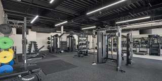 Villaggio Gallery 13