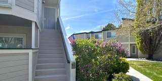 2519 Sunny Slope Drive unit: Apt 3 Gallery 1