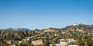 The Louise Los Feliz Gallery 31