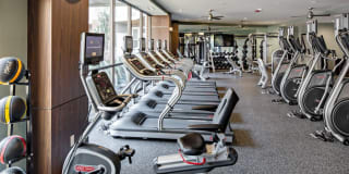 Avalon Wharton Gallery 10