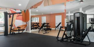 Citrus Place Gallery 37