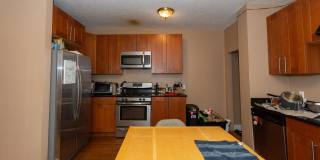 4 bed right on greenline in allston Gallery 13