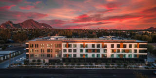 The Common Gallery 24