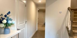 1158 Romeria Drive Gallery 3