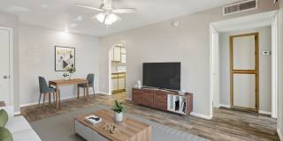 Twin Palms Gallery 38