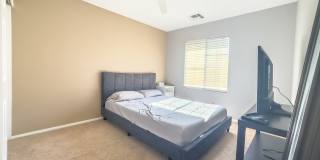 3610 Pinnate Drive Gallery 18