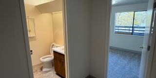 451w13 Gallery 22