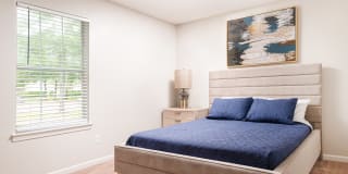 Colony Pointe Gallery 11