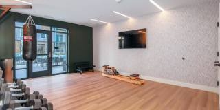 The Alder Gallery 26