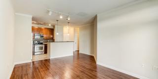 Berkeley Park Gallery 15