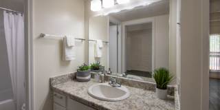 Harvard Square Apartments Gallery 4