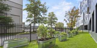 Alto Fairfield Metro Gallery 20