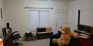 18616 POPLAR GLEN Court Gallery 15