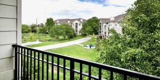 Autumn Grove Gallery 42