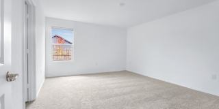 4442 Grassland Pass Gallery 16