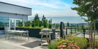 Bell Jackson Street Gallery 17