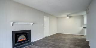 Chimneys of Greenville Chimneys of Greenville Gallery 12