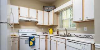 The Falls and Woods of Hoover Gallery 45