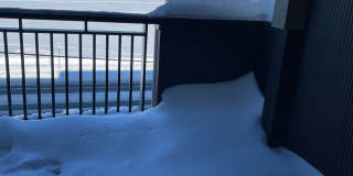 NEW! 2 Bedroom on campus! Gallery 1