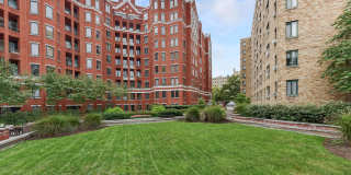 The Saratoga Gallery 31