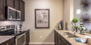 Century Palm Bluff Gallery 37