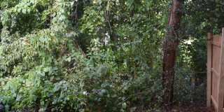 3/2 in Villas of Westridge Gallery 22